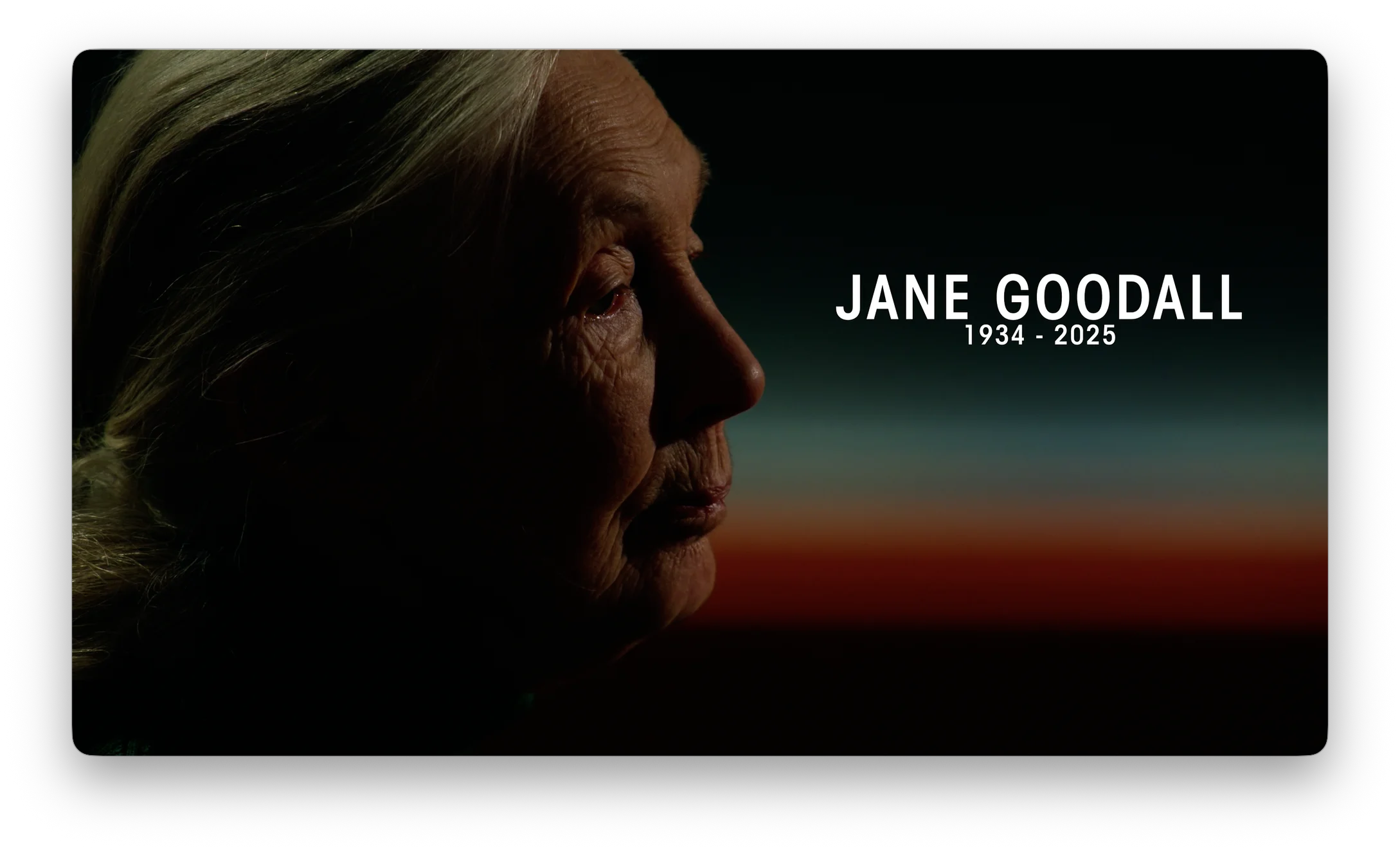 Screenshot 2025-10-06 at 21.58.56.png (20251006017)